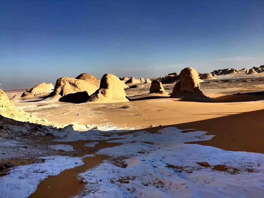 A camel caravan traversing North African dunes at sunset